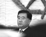 廣東省委書記汪洋4月6日的表態，明顯在支持胡錦濤打擊毛左和支持溫家寶在3月兩會的政改調子。圖為廣東省委書記汪洋。(AFP)