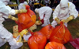 台湾惊传彰化和台南养鸡场爆发H5N2高病原性禽流感疫情，医师指出，民众应注意饮食卫生，吃家禽蛋类食品应该煮熟后食用。（SAM YEH/GETTY IMAGES）