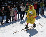 波兰扎科帕内，当地民众4月9日穿着19世纪的传统服饰参加滑雪比赛，庆祝复活节。图中一名男子穿着公鸡装滑雪。(JANEK SKARZYNSKI/AFP)