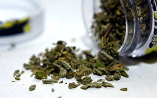 药物控制中心呼吁禁用合成大麻