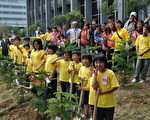 南洋杉、綠市集、原民風味角落 共同啟動Planet 21 Day