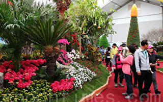 组图：2012韩国高阳国际花卉博览会