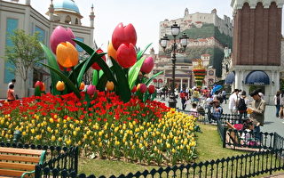 美籍華人在韓國 春遊愛寶樂園