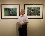 张立胜“台湾野鸟生态摄影展”，一张张扣人心弦、充满生命力的野鸟摄影。（摄影:周美晴  /  大纪元）
