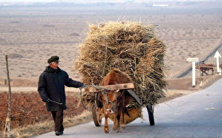 北韓缺糧情況惡化 農業重鎮居民餓死