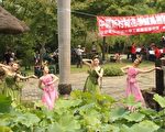 南投市荷花季開幕．荷花仙子搶鏡頭