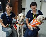 (由左至右)刘桂杏与导盲犬Visa、林明勤与导聋犬西西。（明新科大提供）