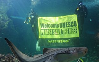 聯合國報告警告澳洲大堡礁面臨瀕危狀態