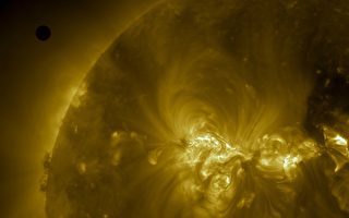6月5日至6日，是本世纪最后一次“金星凌日”天文奇景。(SDO/NASA via Getty Images)