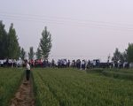 土地強征 農民生存誰來保障？
