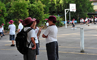 澳洲纽省小学生体育运动不足