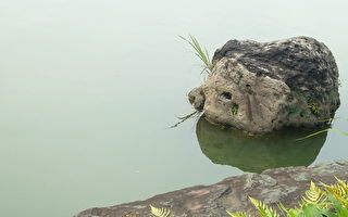 东京名园古池中的奇石