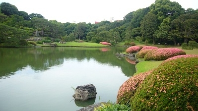 日本東京有名的和歌庭園「六義園」水池中的一塊酷似豬頭的石頭。(攝影:容乃加/大紀元)