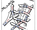 泰利很怪異  1948年來首例