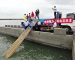 永续发展海洋渔业 台电放流20万鱼苗