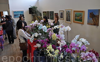 美丽台湾展示会的兰花展吸引着人们驻足观看。（摄影：唐风/大纪元）