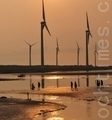 保护生态珍宝 高美湿地分区管制