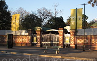 南澳动物园协会大动作扭转颓势
