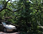 灾后抢修不力 Pepco遭立法者炮轰