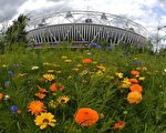 伦敦奥运场馆，摄于2012年7月28日(GABRIEL BOUYS/AFP/GettyImages)