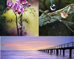 维省第二大画展布莱顿海边亮丽登场