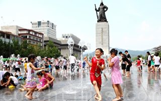 韩国“热”情高涨 人畜中暑数量剧增