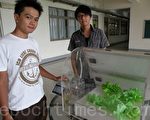 树科大太阳能水耕箱及云端触动获奖