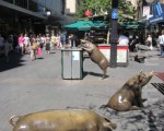阿德雷德蓝道商业街上的标志性雕塑三只小猪。（摄影：戴宁 / 大纪元）