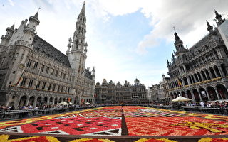 组图：比利时布鲁塞尔铺设鲜花地毯