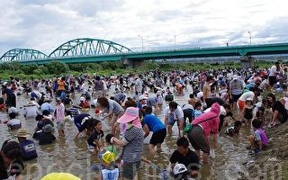 日本徒手抓魚大會  3000人盛況非凡