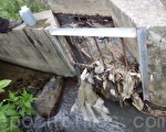 中壢元生實業廢水排入溝渠挨罰