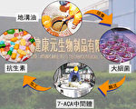 大陆伤肝“回锅油”竟制抗生素