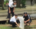 客家事务局后池变美变热闹了