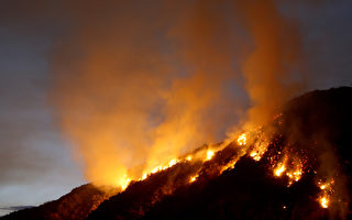 洛杉磯國家森林嚴重火災 燒毀4千英畝