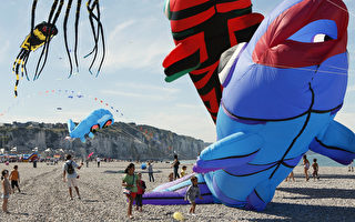 组图：法国风筝节 非常造型超吸睛