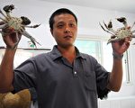捨電子新貴 李耀南用SPA養大閘蟹