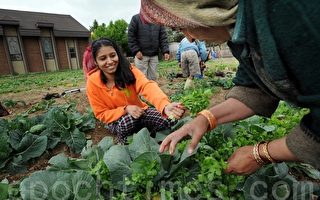 农业种植项目 助难民在美获重生