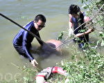 高平消防隊搶救碧湖落水者