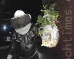 消防隊 新坡捕獲大量虎頭蜂
