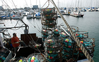 2011年美国10大最危险职业 渔民列榜首