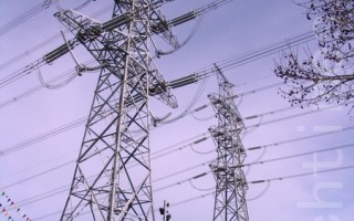 新电价计划助维省人削减电费