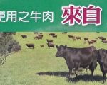聰明選購 南服教您食的安心