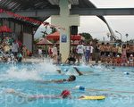 第一屆集集鎮長盃泳賽國小女子組25公尺自由式比賽。（攝影：林萌騫/大紀元）