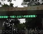 你「上網或APP了沒」