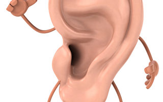 与会者一致认为：耳朵认字这种人体特异功能的真实性现已为公众所证认。（Fotolia）