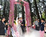 阿里山神木下婚禮山海戀