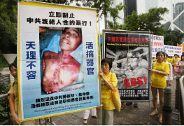 香港法輪功學員在呼籲制止中共迫害的遊行隊伍中,展示黑龍江法輪功學員王斌遭活摘器官的事實。(AFP) 香港法輪功學員在呼籲制止中共迫害的遊行隊伍中,展示黑龍江法輪功學員王斌遭活摘器官的事實。(AFP)