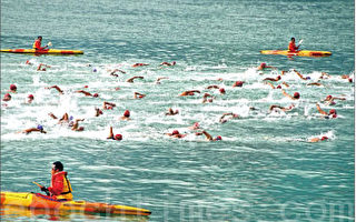 香港跨海泳賽 各國選手踴躍參賽
