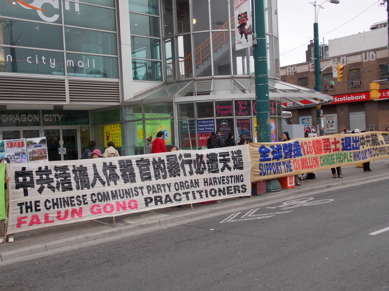 10月27日下午,在加拿大多倫多華人聚集的「中國城」,再次展出了「譴責中共活摘法輪功學員器官」和聲援三退大潮的真相長城活動。