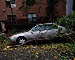 2012年10月29日，超級風暴珊迪重創美國東岸，造成美國與加拿大地區至少13人死亡。圖為紐約市被強風吹垮的路樹。（Andrew Burton/Getty Images）